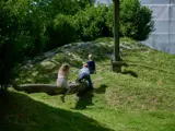 Kinderen spelen op een boomstam